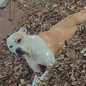 Nova Jane thumbnail 5