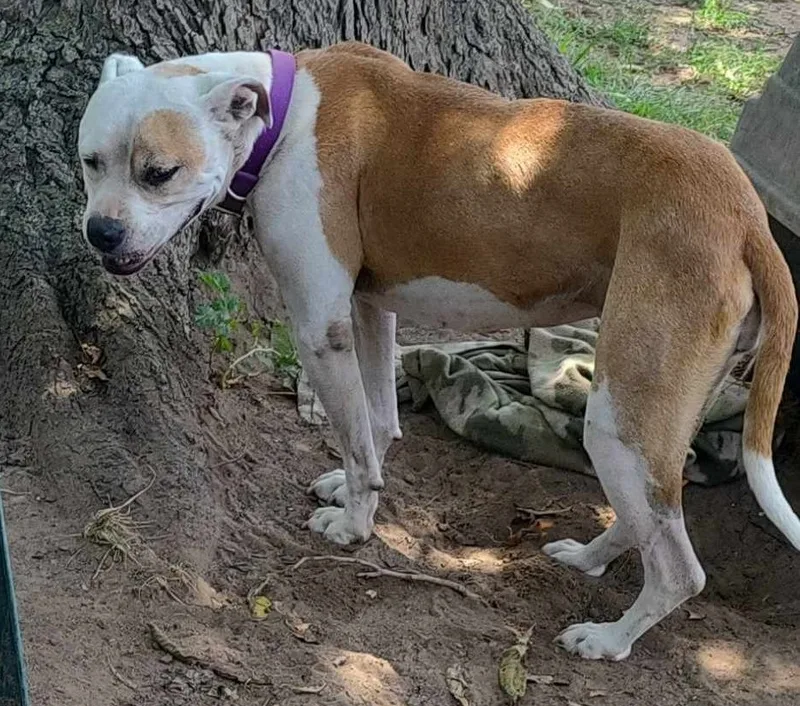 Nova Jane thumbnail 6