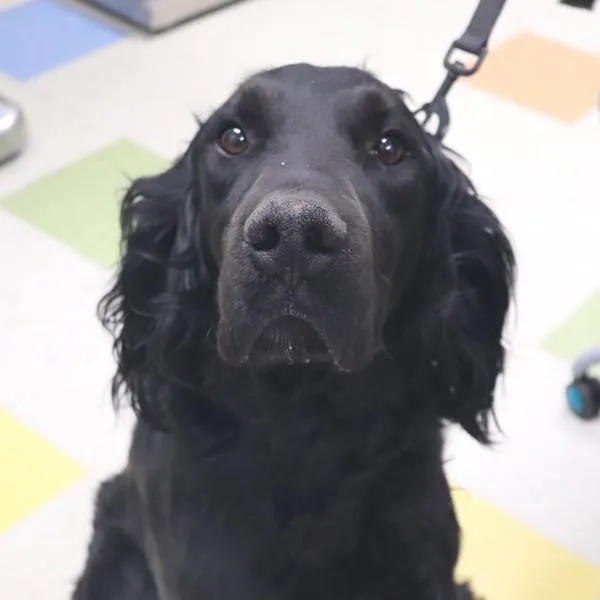 Tucker thumbnail 3