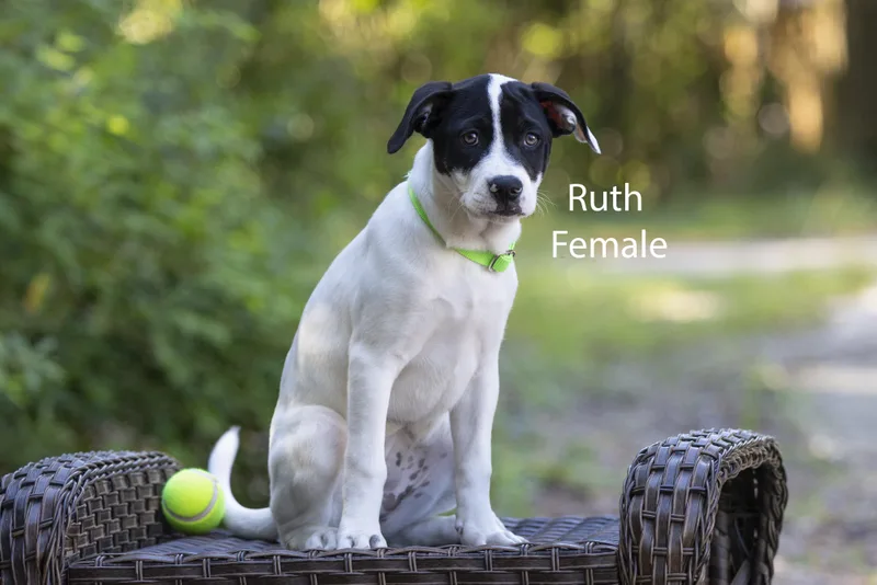 Ruth thumbnail 2