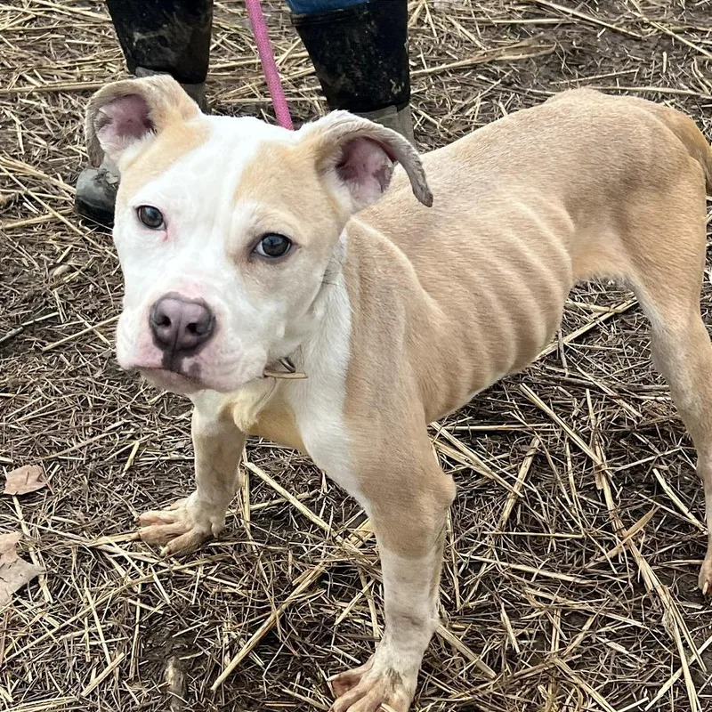 Samantha thumbnail 2