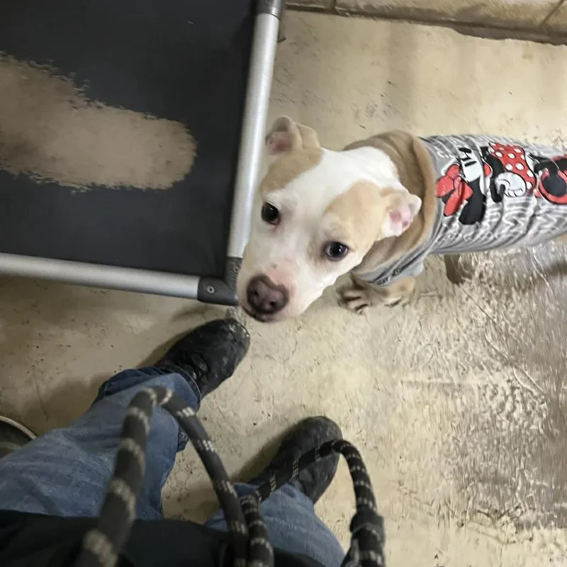 Samantha thumbnail 3