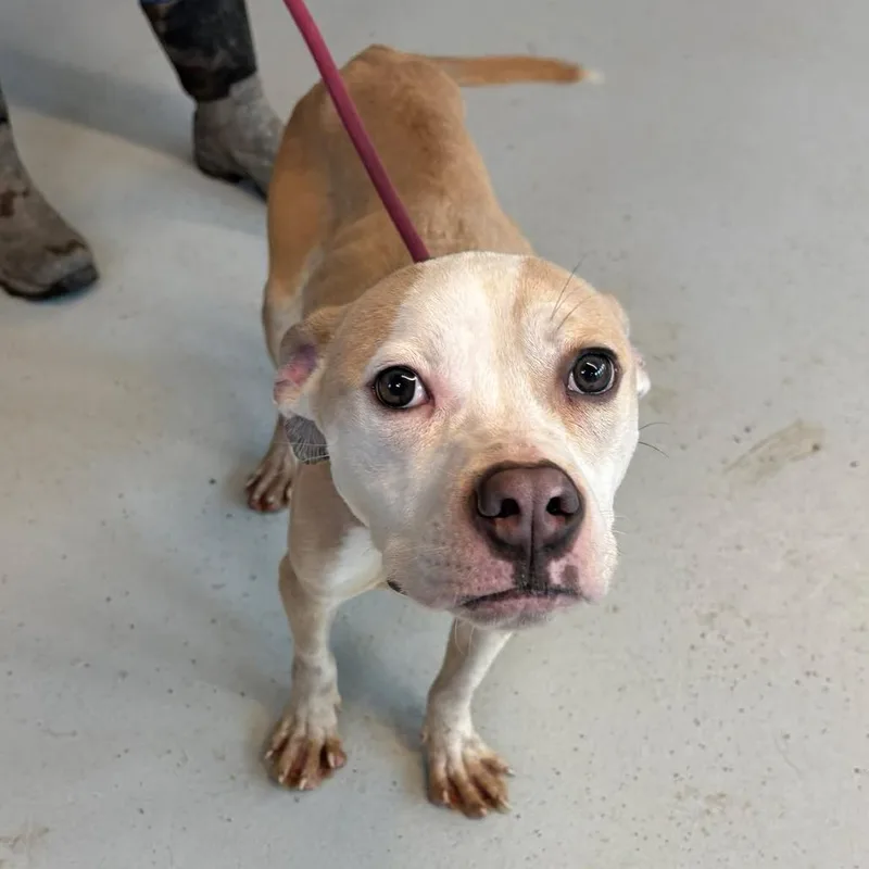 Samantha thumbnail 4