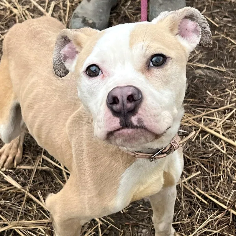 Samantha thumbnail 5