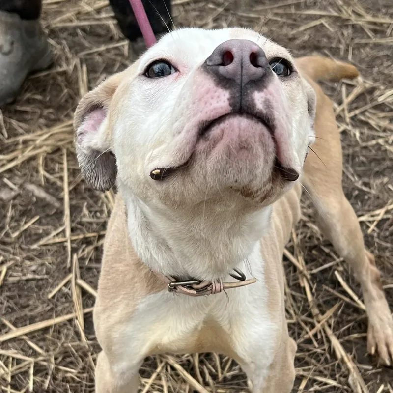 Samantha thumbnail 6