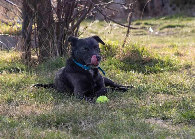 Einstien thumbnail 2