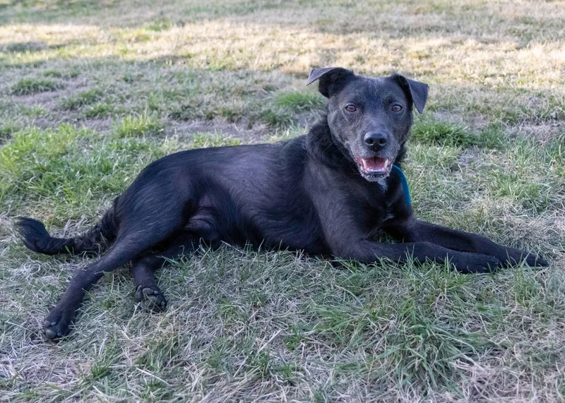 Einstien thumbnail 3