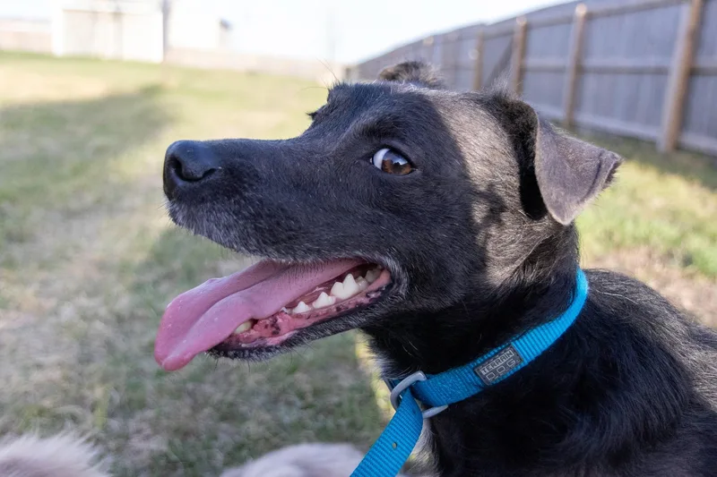 Einstien thumbnail 4