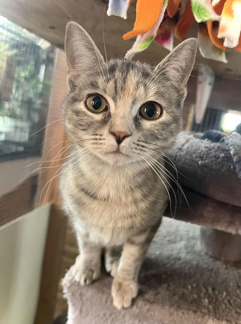 Tracksie thumbnail 3