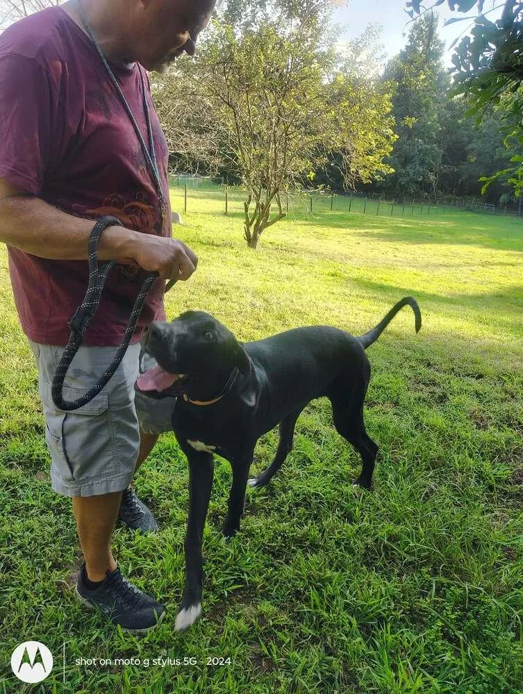 Jane the Dane thumbnail 6