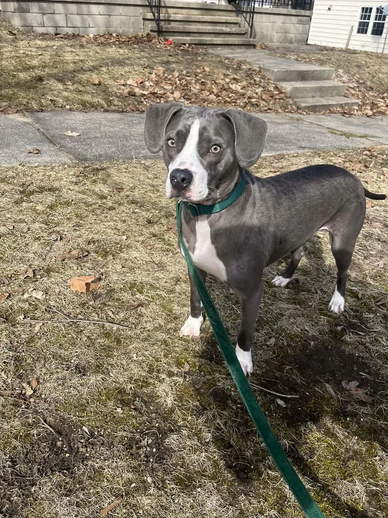 Penelope thumbnail 2