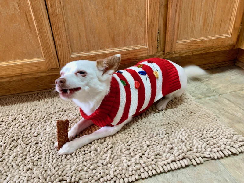 Mamma Mia thumbnail 2