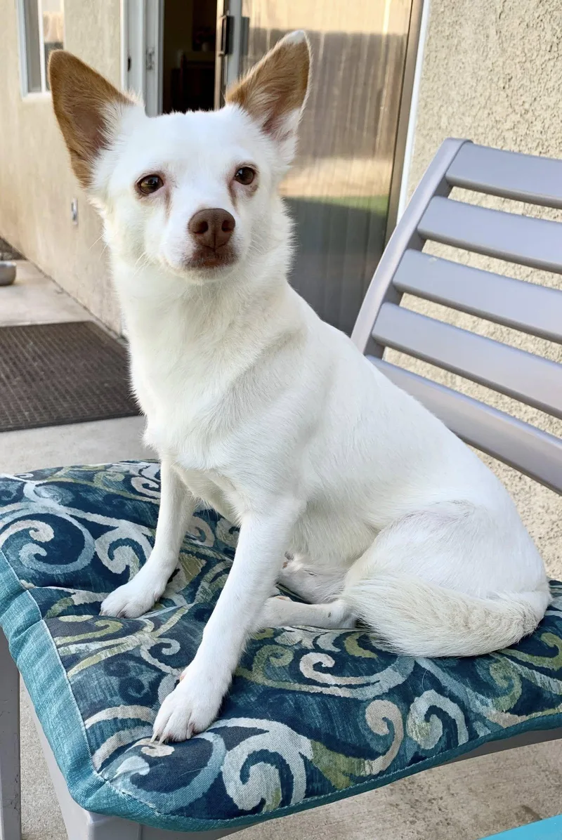 Mamma Mia thumbnail 3