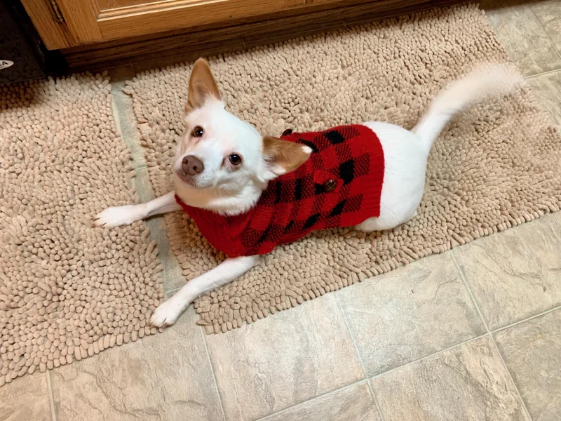 Mamma Mia thumbnail 4