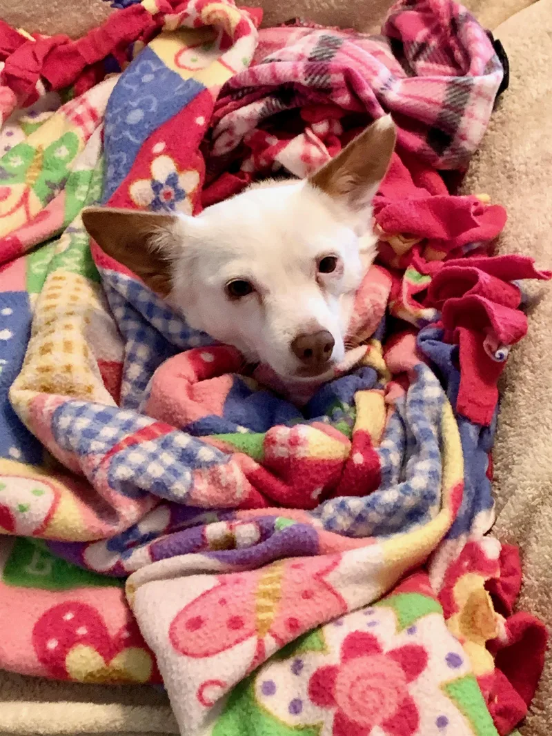 Mamma Mia thumbnail 5