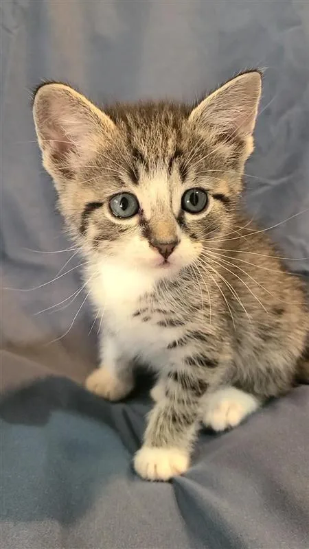 Pablo