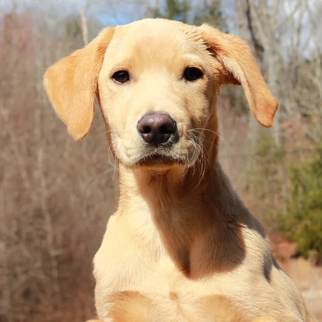 Ct Paperclip thumbnail 2