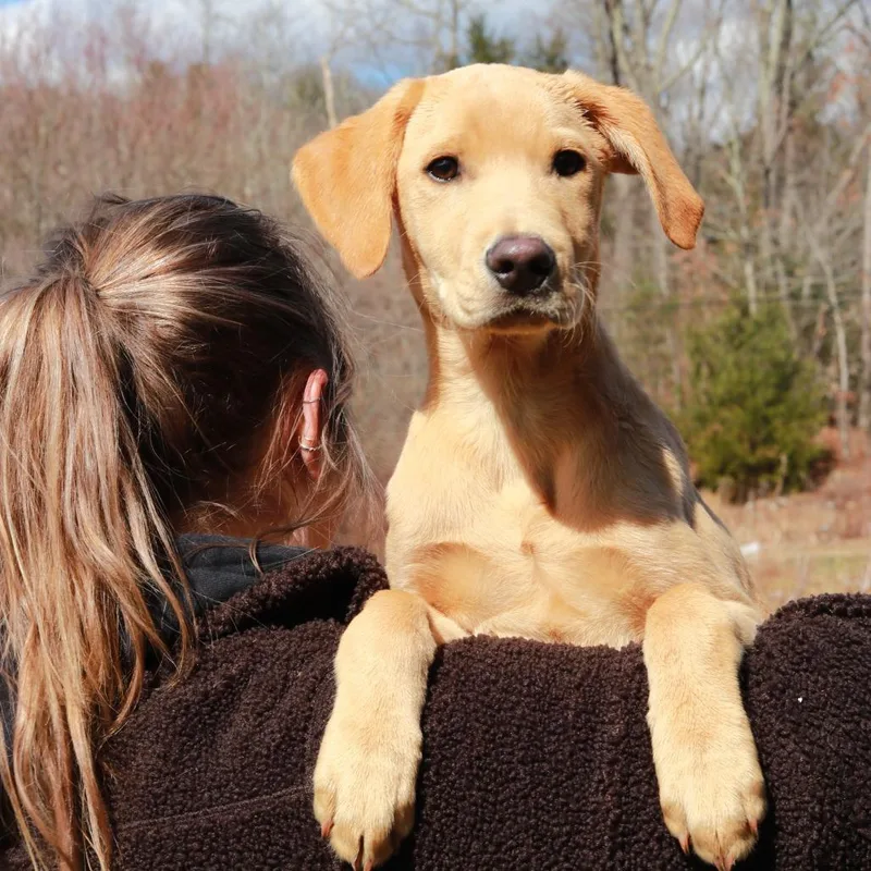 Ct Paperclip thumbnail 4