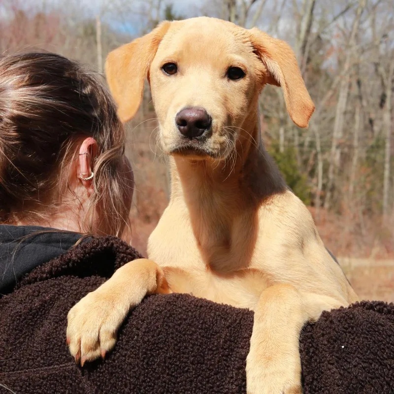 Ct Paperclip thumbnail 5