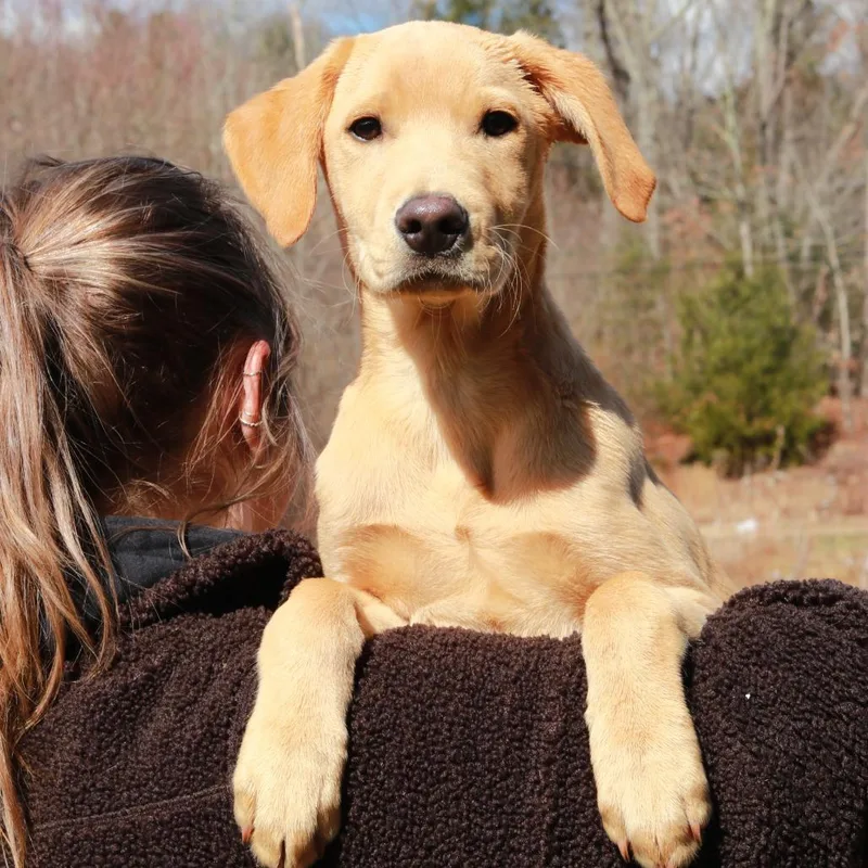 Ct Paperclip thumbnail 6