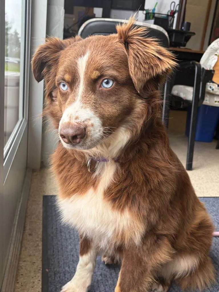 Josey  Sponsored By thumbnail 2