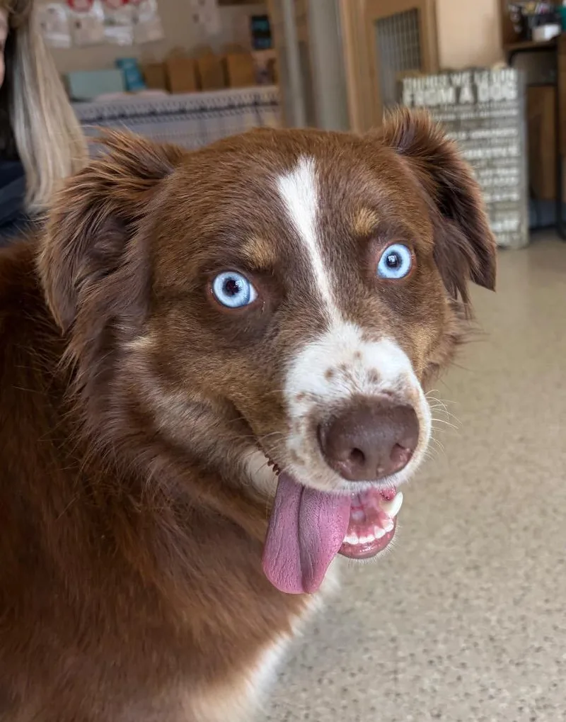 Josey  Sponsored By thumbnail 3