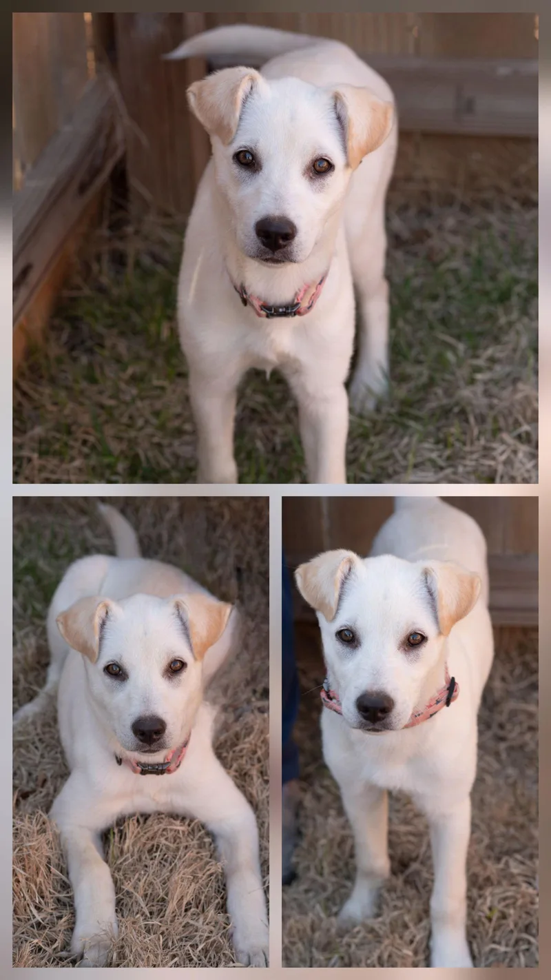 Maisy thumbnail 2