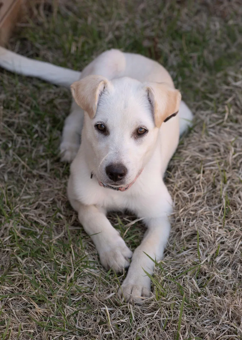 Maisy thumbnail 3