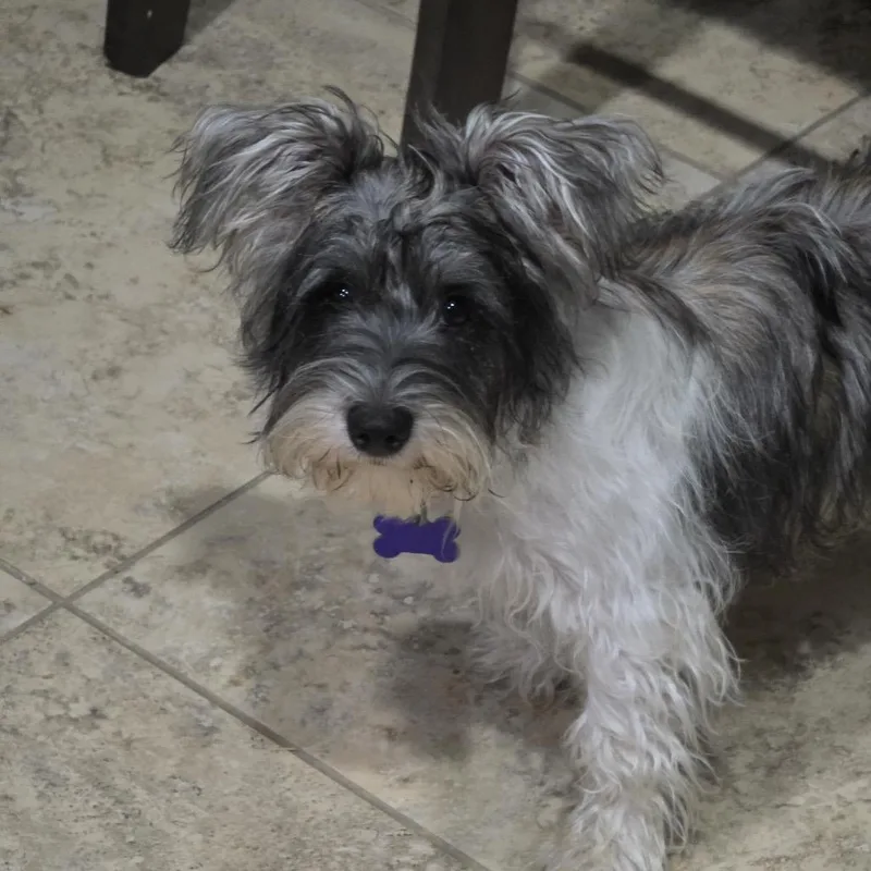 Belle Mae thumbnail 3