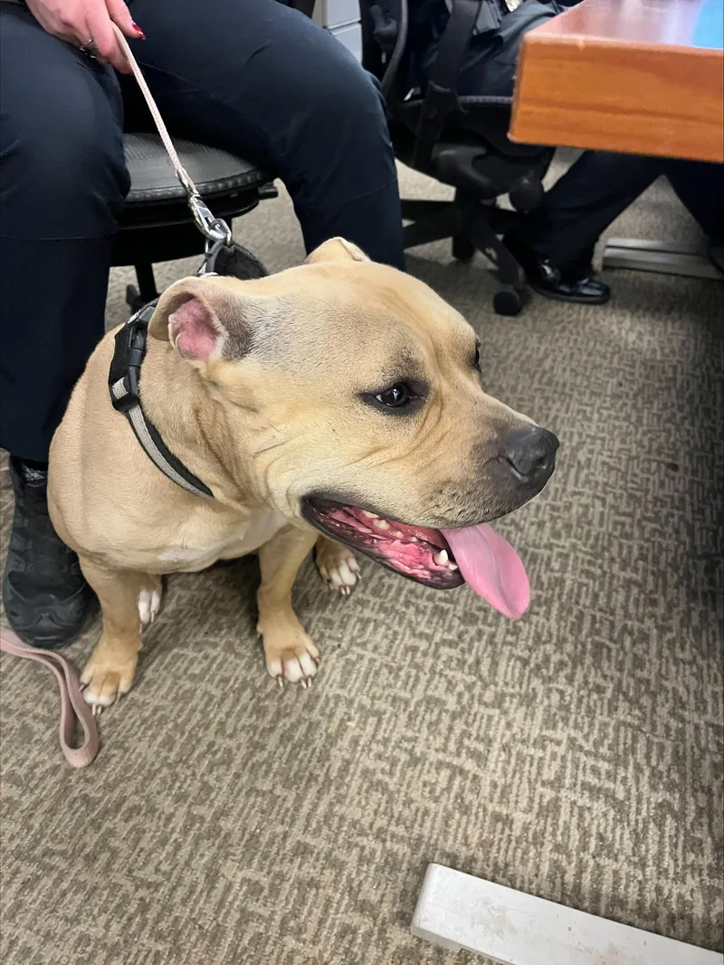 Sassy Aka Sassy Pants