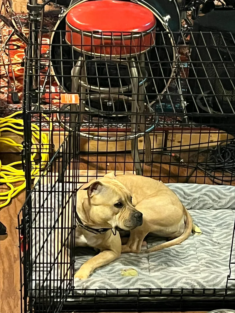 Sassy Aka Sassy Pants thumbnail 3