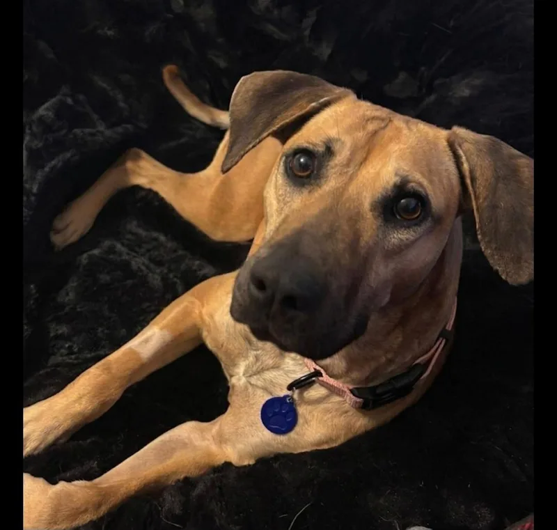 Sandi Walton thumbnail 3