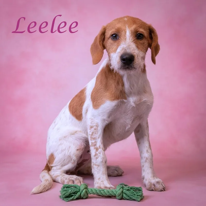 Leelee D thumbnail 3