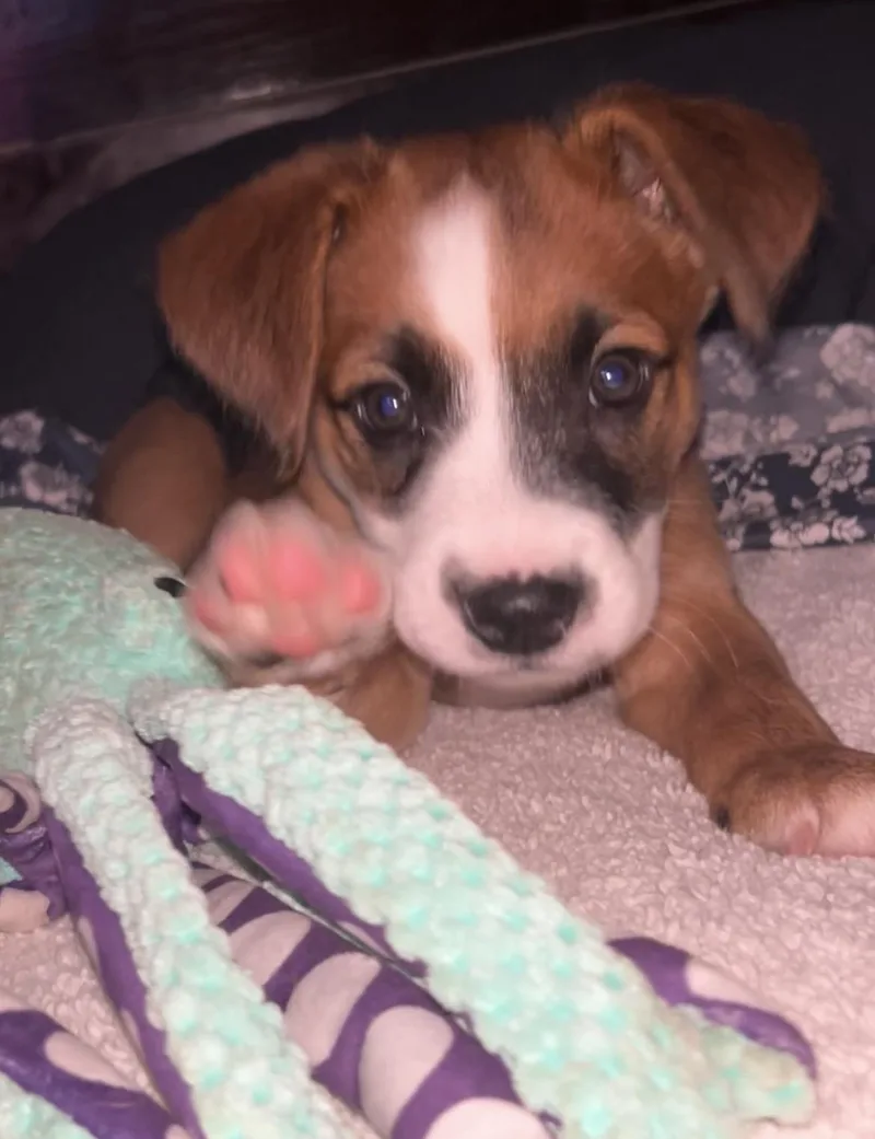Coco thumbnail 4