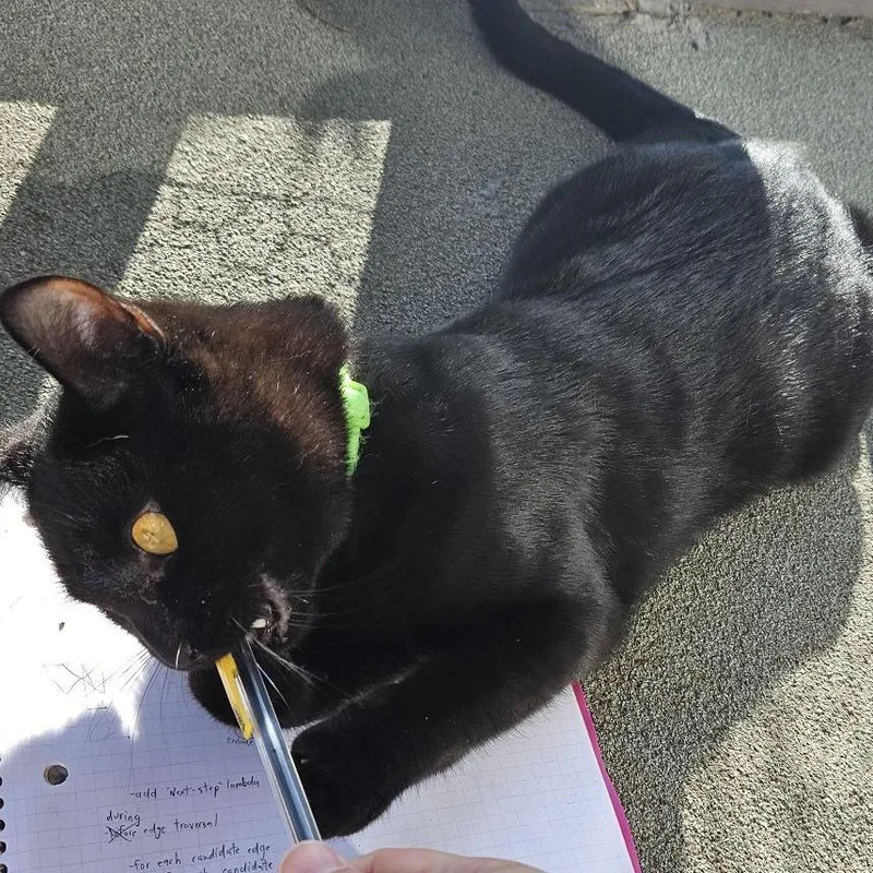 Catpuchino thumbnail 2