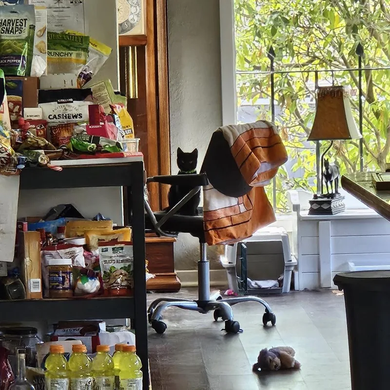 Catpuchino thumbnail 5