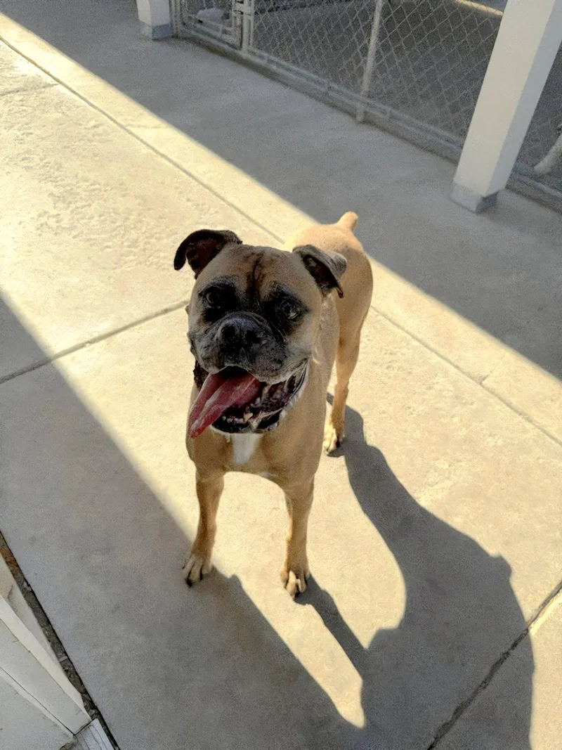 Archie