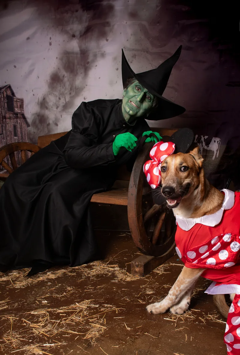 Florence thumbnail 2