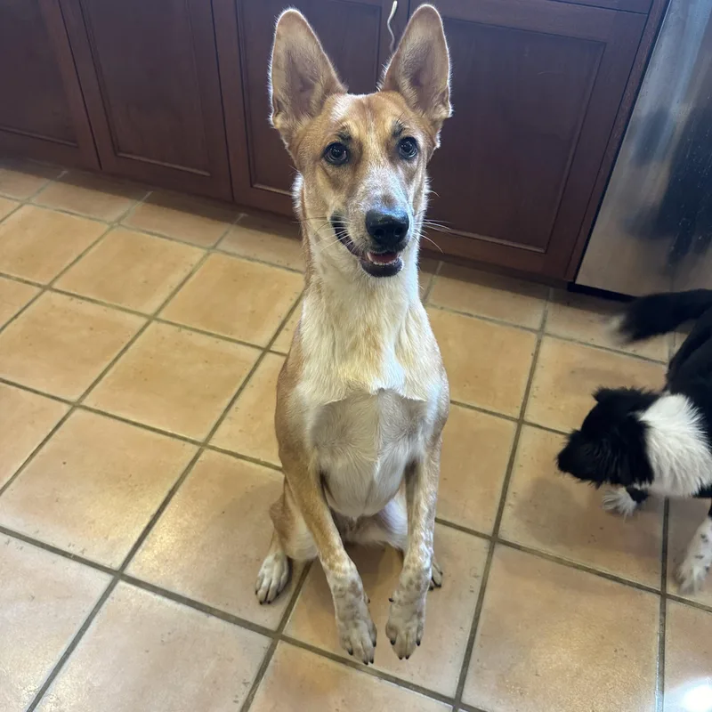 Florence thumbnail 3