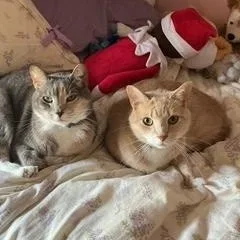 Cassie & Vader thumbnail 4
