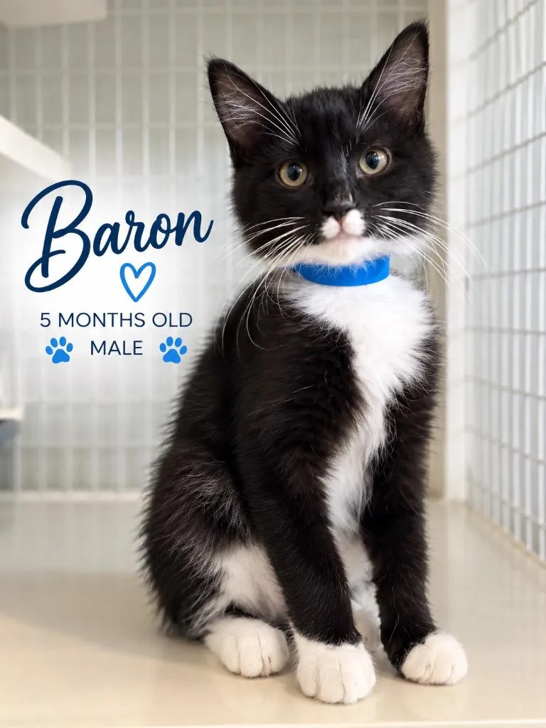 Baron