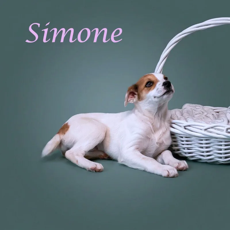 Simone D thumbnail 2