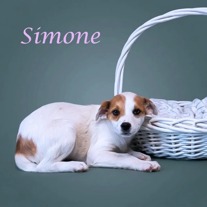 Simone D thumbnail 6