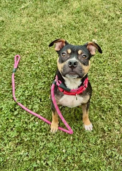 Remington