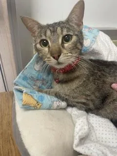 Mia