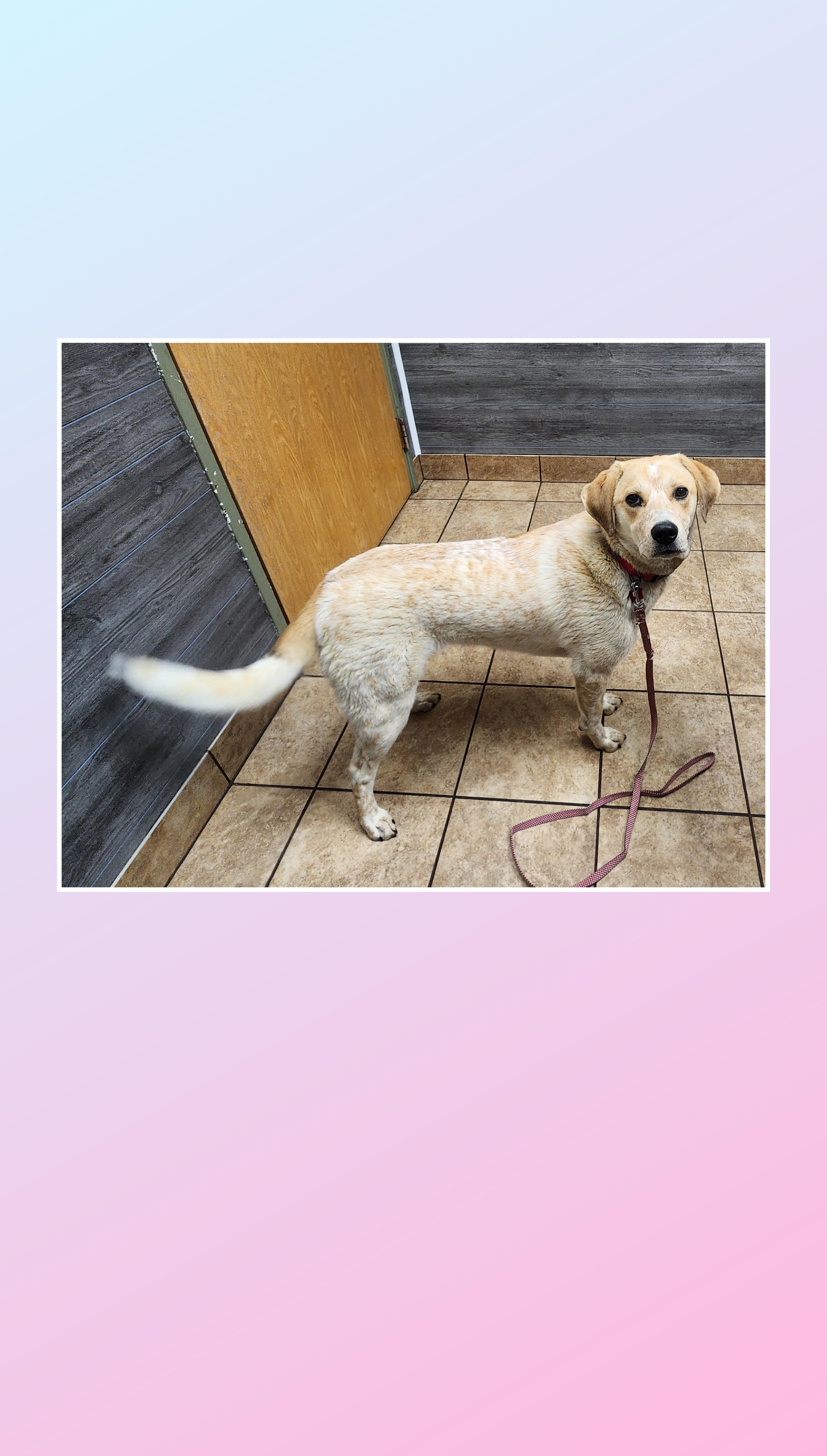 Chloe thumbnail 3