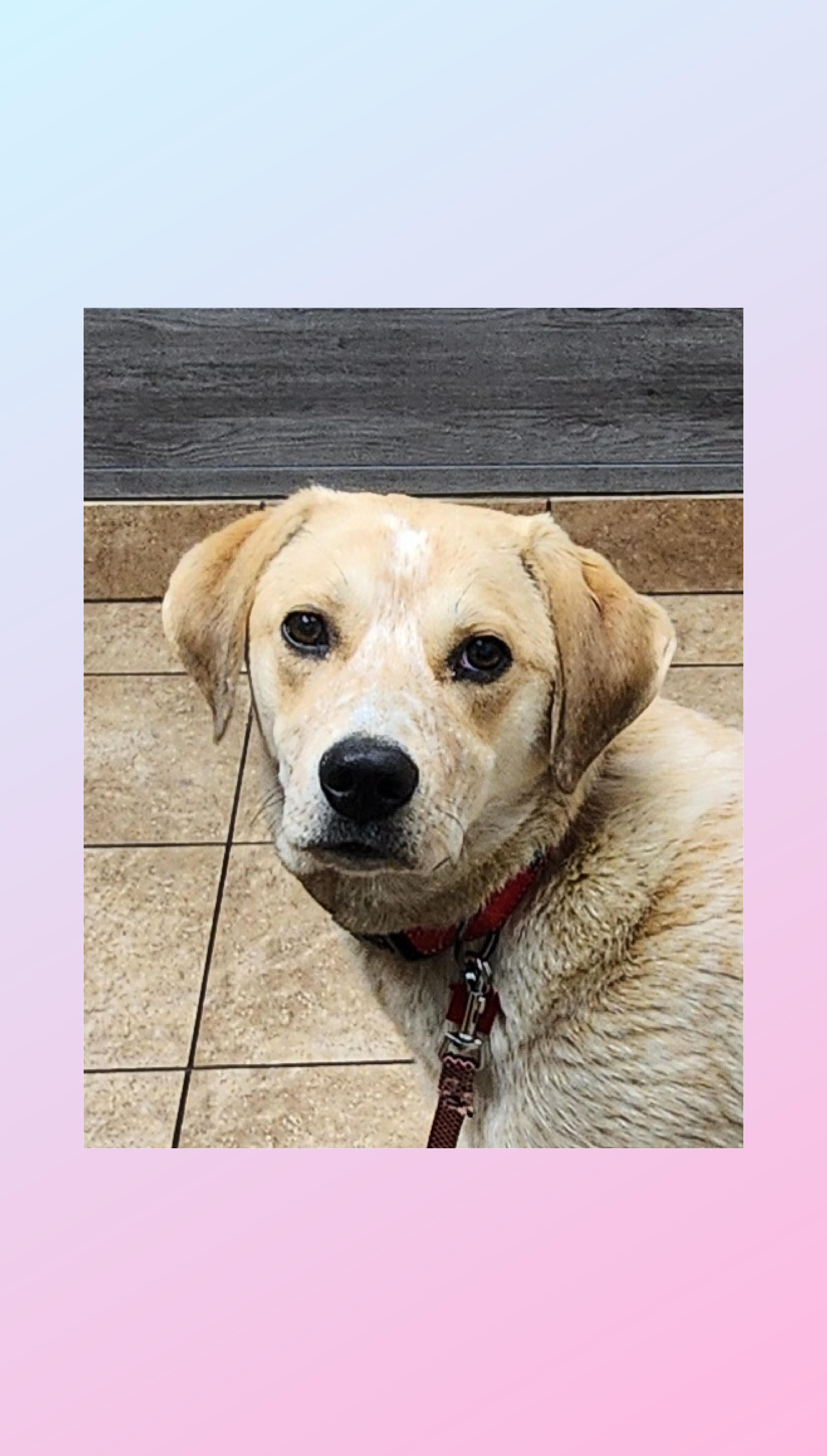 Chloe thumbnail 5