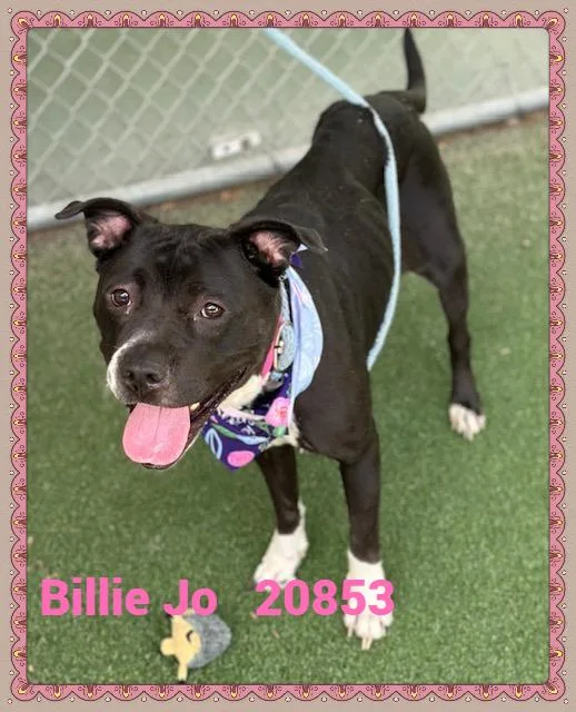 Billie Jo thumbnail 4