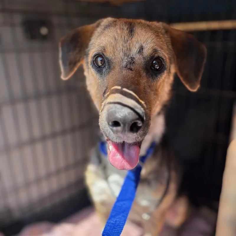 Rowdy Prev Stiller Jum thumbnail 5