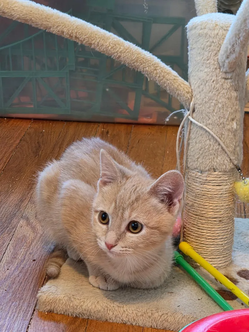 Theo And Hunter thumbnail 2